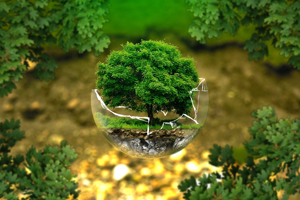 How to Create a Self-Sustaining Ecosystem How to Create a Self-Sustaining Ecosystem
