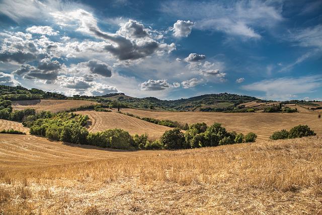 Mapperton Estate: Rewilding scheme transforms farmland