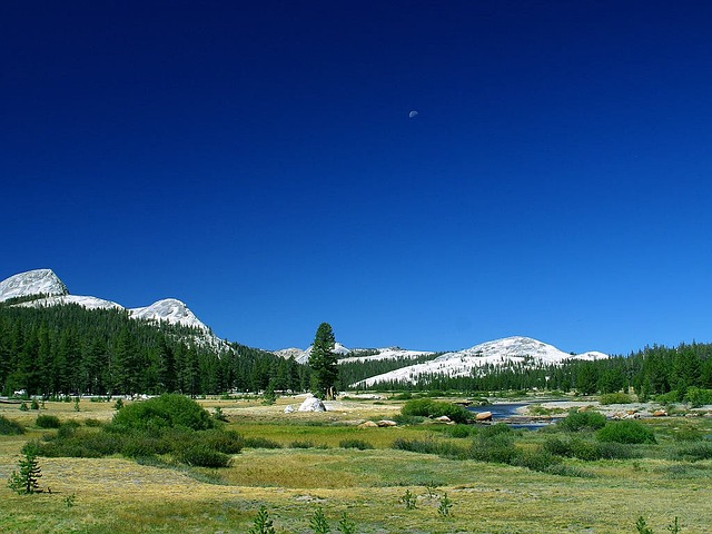 Nearly 1.8 million acres of grassland were destroyed in US and Canada in 2020 Nearly 1.8 million acres of grassland were destroyed in US and Canada in 2020